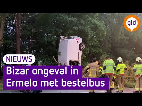 Bestelbus eindigt rechtop tegen boom