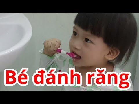 Video GIỎI QUÁ BÉ ĐÁNH RĂNG TRƯỚC KHI ĐI NGỦ | GIA ĐÌNH 8x - youtube