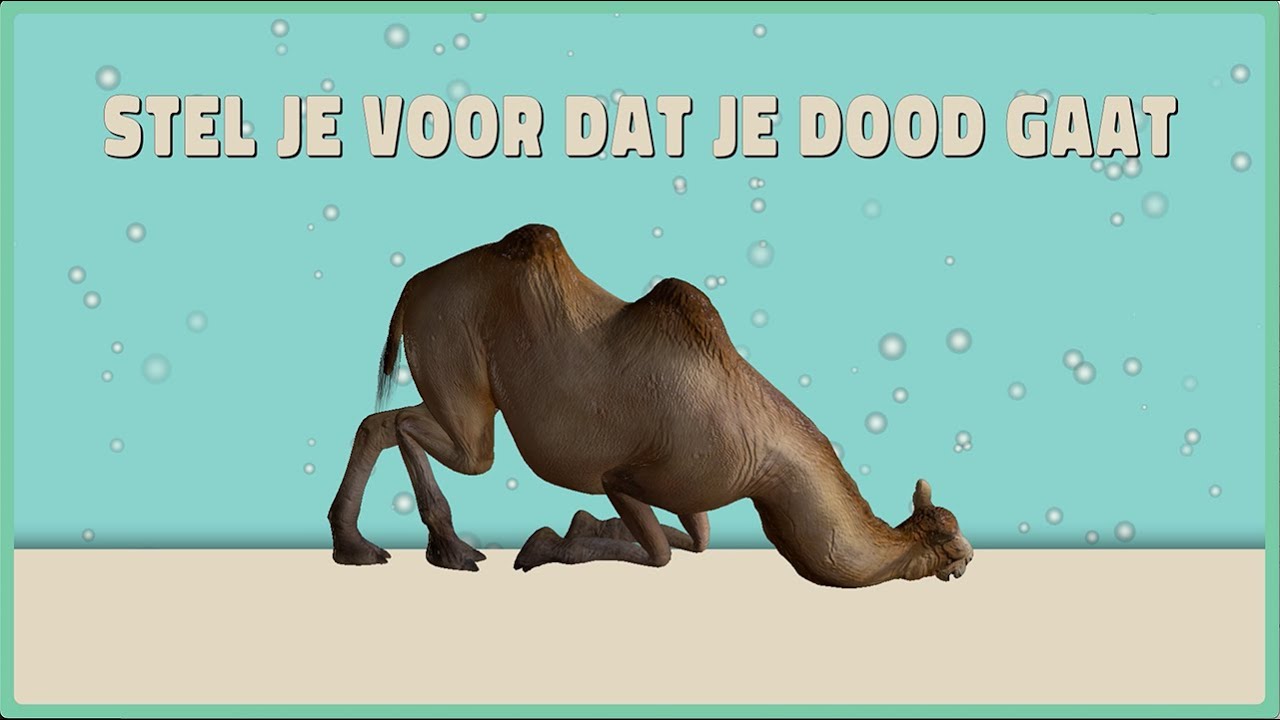 Stel je voor dat je dood gaat - YouTube