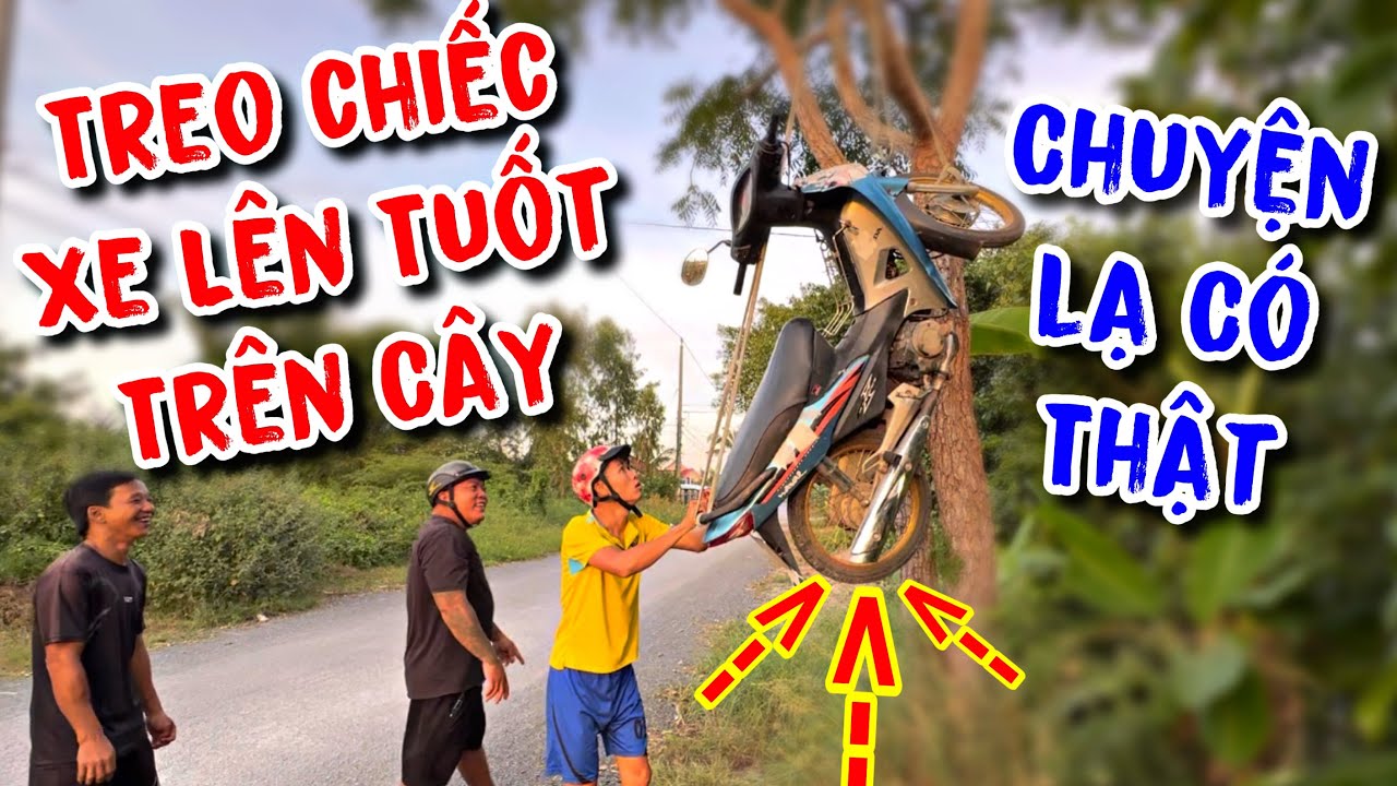 KU VÀNG Bất Lực Chủ Biết Đứng Đó Nhìn Chiếc Xe Yêu Quý Bị THÁNH XÀM Treo Tuốt Trên Cây
