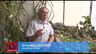 видео Особняк семьи Тиса в Санкт-Петербурге