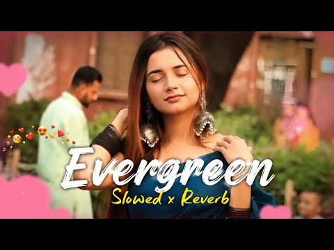 Evergreen 💞 Jigar | Kaptaan | Desi Crew | Nikkesha | Latest Punjabi Songs 2026 | Aesthetic song