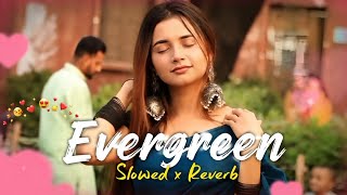 Evergreen 💞 Jigar | Kaptaan | Desi Crew | Nikkesha | Latest Punjabi Songs 2026 | Aesthetic song