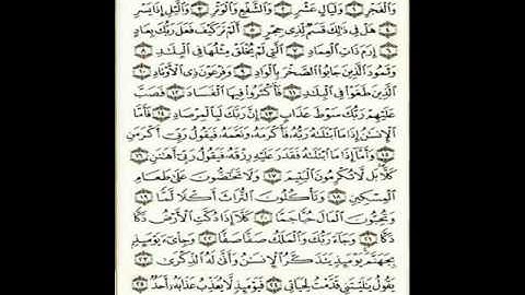 سورة الفجر .. الشيخ وليد الروبي
