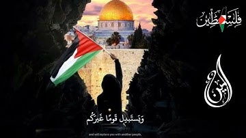 القارئ أمين عرفه