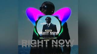 Video thumbnail of "Akon - Right Now (DJ Safiter Remix) 2022"