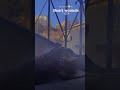فلينا وباقي بعينينا أشواق وحكي من قسوة هالدنيا علينا بكينا البكى