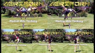 Aeriform Martial Arts Tricking (AeriformMAT dot com)