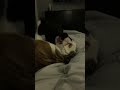 Who will win #dogs #cats #catsanddogs #animals #fighting