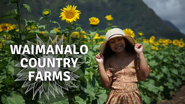 Things to do in Hawaii - Waimanalo Country Farms &...