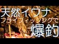 天然イワナをフライフィッシングで爆釣