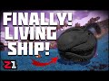 FINALLY Hatching the Living Ship AND Portal Glyphs ! No Mans Sky Next Generation Ep 12 | Z1 Gaming