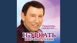 Video thumbnail of "Нафкат Нигматуллин - Тип, йорэгем"