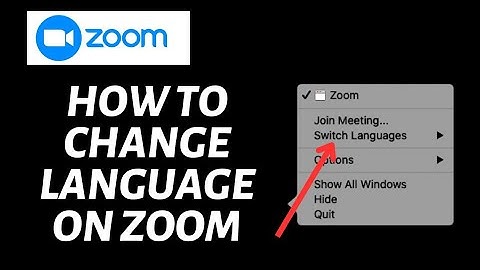 How To Change Language on Zoom