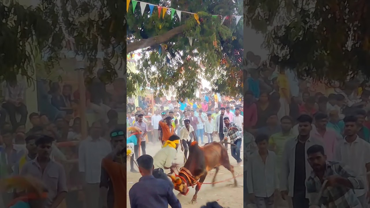 pongal Atrocities 💥🎉 