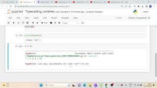 Celebrity 3 - typecasting variables in python Net Worth