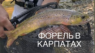 ФОРЕЛЬ В КАРПАТАХ . Smith AR-S .  2021