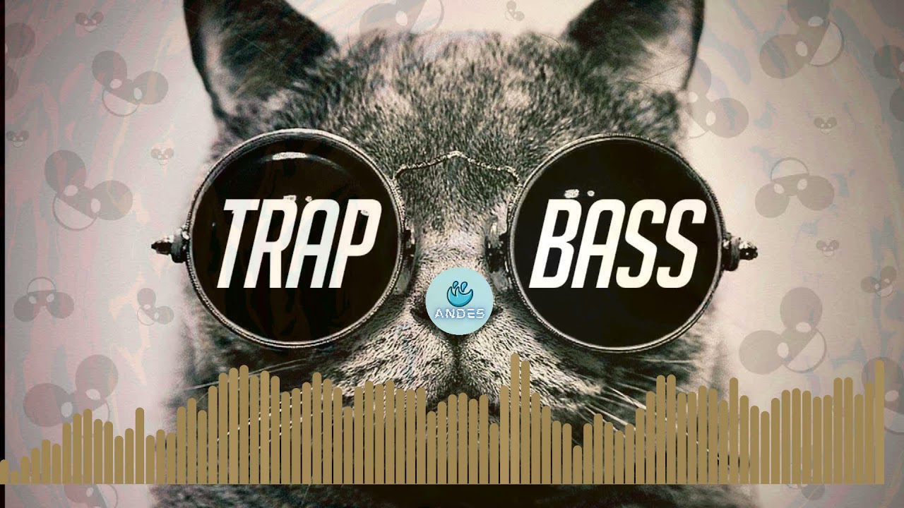 Trapternoon - Andes ( Dung Ngo )