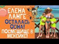 ЕЛЕНА ЛАНГЕ ОПЯТЬ БРОШЕНКА! ГДЕ ТРОЯН?! ПОСМЕШИЩЕ ЛАНГЕ ПУГАЕТ МАМОЧЕК! #ЕленаЛанге #elenalange