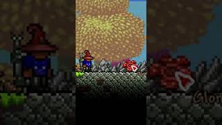 weirdest pet in terraria? #shorts #terraria