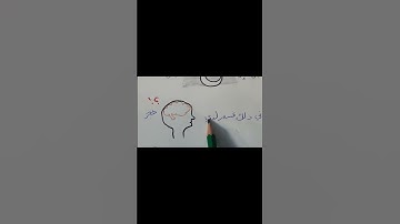 سورة الفجر يلا نحفظ #اكسبلور #المصحف # خرائط ذهنية # طرق مبتكرة #ترند