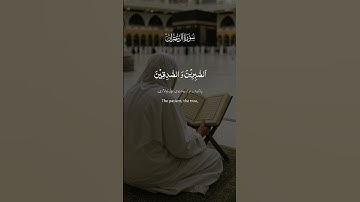 قرآن كريم #تلاوة_هادئة #قرآن #اكسبلور #الرحمن #لايك #المصحف #دويتو #مكة_المكرمة #صلوا_على_النبي