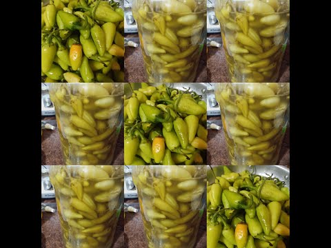 طريقة عمل مخلل الفلفل المكسيكي أو الهلابينو بطريقة سهلة وملح مظبوط     