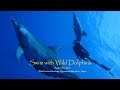 イルカ先生 ~DolphinSwim in Ogasawara~