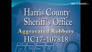 Surveillance video of Wallisville aggravated robbery with a deadly weapon