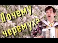 🔥НОГИ САМИ В ПЛЯС ИДУТ!!! Почему черемуха - поет Вячеслав Абросимов