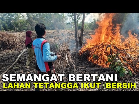 KISAH NYATA MENGEJUTKAN: TAKDIR CINTA KAMI BERAWAL DI PUB, SAAT HANYA BERDUA.