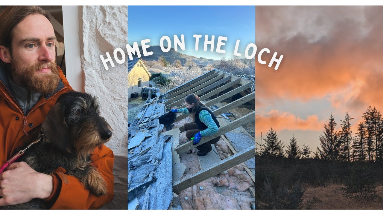 Living in the Scottish wilderness - redoing our cabin roof ourselves!