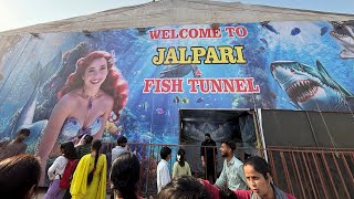 Jalpari & Fish Tunnel In Aligarh Numaish 2026