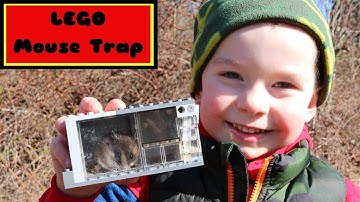 LEGO Live Catch Mouse Trap In Action.