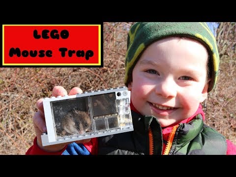 LEGO Live Catch Mouse Trap In Action.