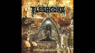 Fleshgore - Fag-End