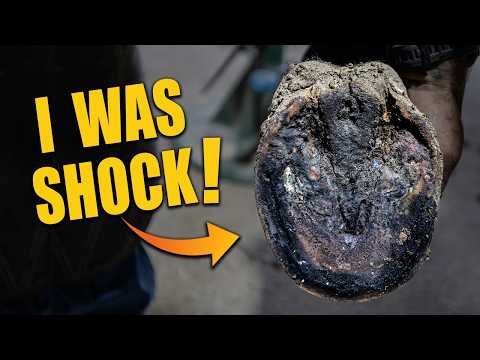 What I Found Under This Hoof Shocked Me! | Full Restoration thumbnail