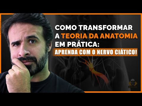 COMO TRANSFORMAR A TEORIA DA ANATOMIA EM PRÁTICA APRENDA COM O NERVO CIÁTICO.