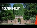 Аскания-Нова (1937) документальный фильм