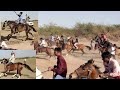 Horse race in tragdi kutch   