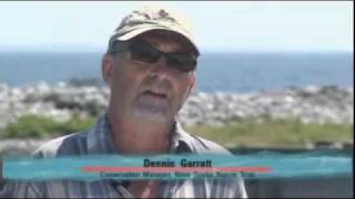 Eastlink Magazine feature story on Bon Portage Island