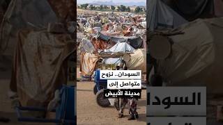 استمرار وصول آلاف النازحين إلى مدينة الأبيض السودانية وسط تحذيرات من تفاقم الأوضاع الإنسانية