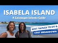 Isabela island tips  the best snorkeling spot in the galapagos  where to find affordable tours