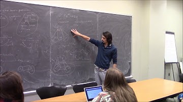 Noah Chrein --- Hierarchy and Anisotropy in Categorical Ontology.