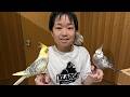 レオくんがおでかけしてみた！Moff animal cafe！ Part112 レオスマイル