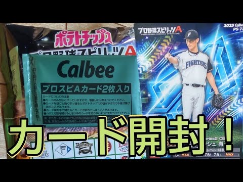 プロ野球チップスプロ野球スピリッツAカード開封！