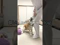 飼い主ガチャ失敗したvlog。#shorts