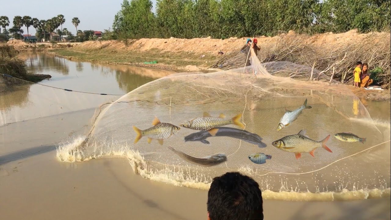 WOW amazing fishing cambodia traditional fishing how to catches fish