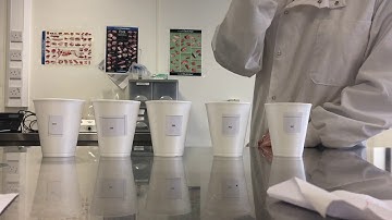 Experiment 9; RANKING TEST FOR PREFERENCE (COMMERCIAL SWEETENERS)