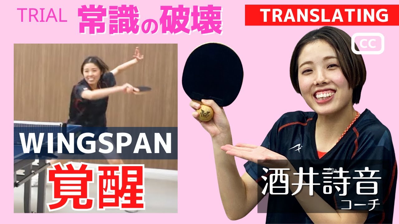 ブライターレイター[BRYTER LYTER][WINGSPAN]卓球ラバーNo1口コミ 